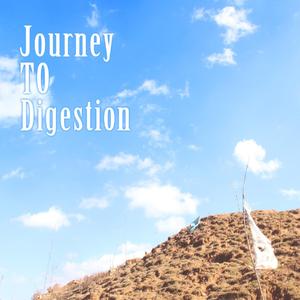Journey to digestion ft.董李（clean ver.）（翻自 KiD Ink）