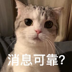 风一直吹