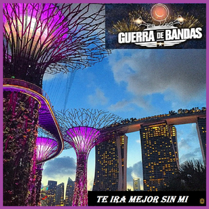 Y Se Me Fue Tu Amor - Zenaido A.