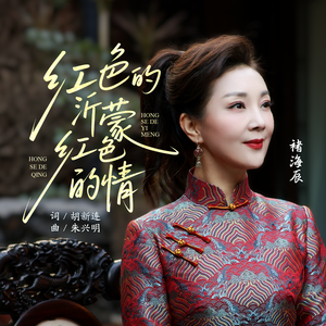 红色的沂蒙红色的情