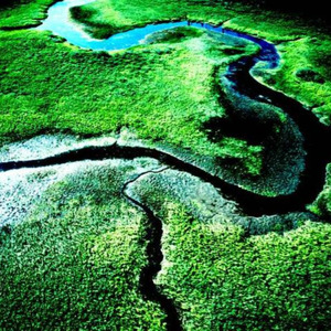 Delta Livin' (jazz vibe)