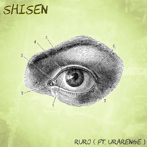 shisen (feat. urarenge)