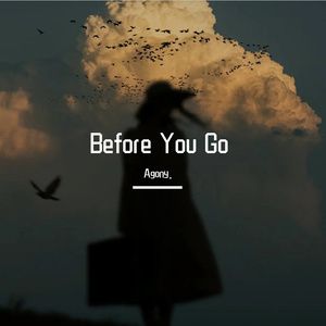 Before You Go