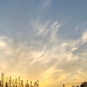 轻音逐夏（致费二）