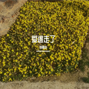暗恋