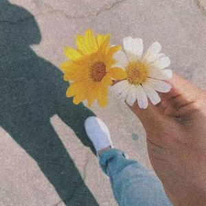 劫（翻自 群星）