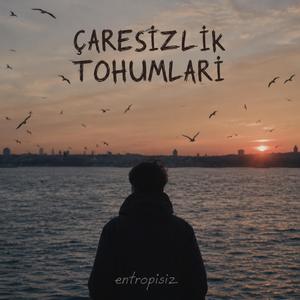 Çaresizlik tohumları