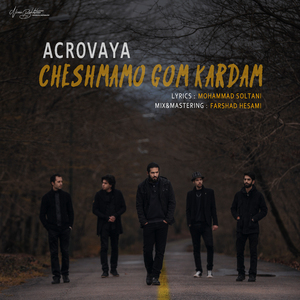 Cheshmamo Gom Kardam