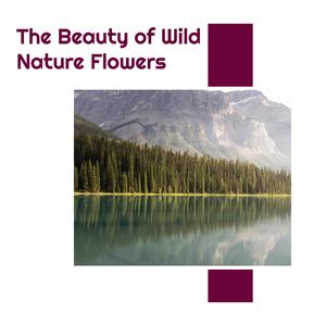 Mature Mountain Pond Water