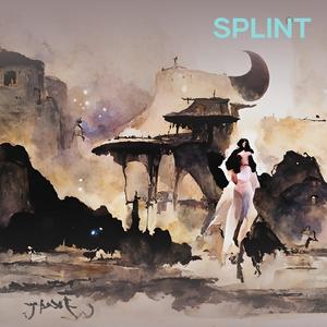 Splint