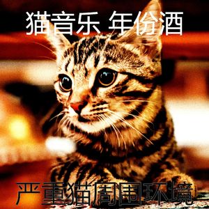 微妙的小猫心情