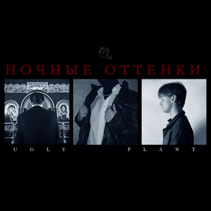 УЗКИЕ ГЛАЗА, КАМЕРЫ