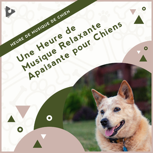 Musique de fond pour chiens