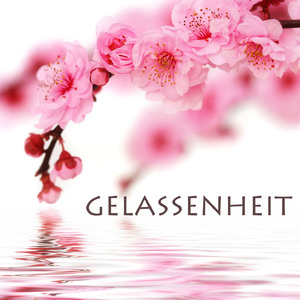 Persönliche Reflection