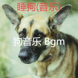 阳光明媚(训练你的狗)