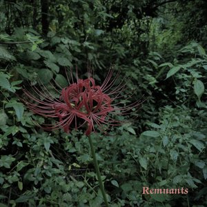 Remnants