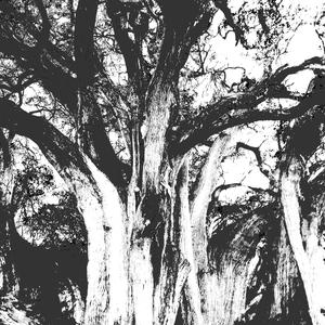 Synthetic Ghost Noises I