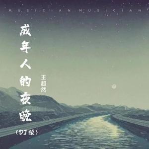 成年人的夜晚 (DJ版)