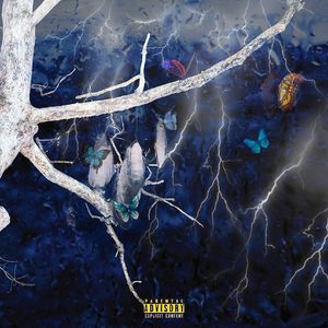 茧 （prod.by Morrow）