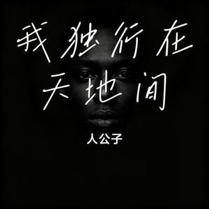 我独行在天地间 (Cover 仲南)