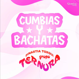 Enamorado de Ti (Bachata)