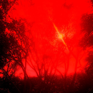 必死 （Prod. Homage）