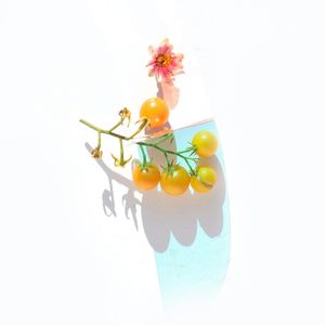 柔乡