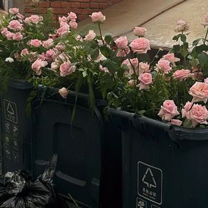 花店