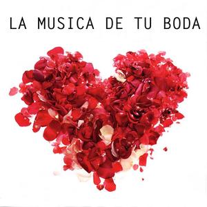 Xerxes: Largo "Ombra mai fu"