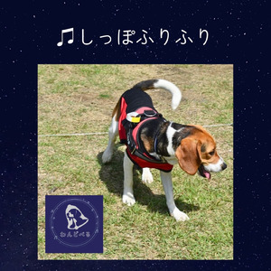 しっぽふりふり