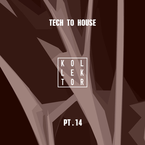 The Most Beautiful Dream (Mancini (ManJas) Remix)