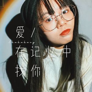 爱在记忆中找你（吉他版）