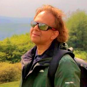 ভবঘুরে মন