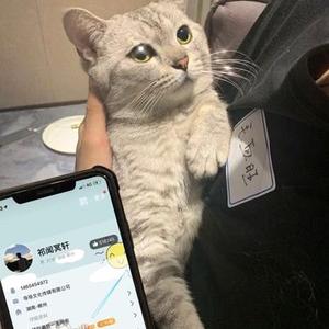 如果最后不是你(DJ版)