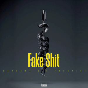 Fake Shit