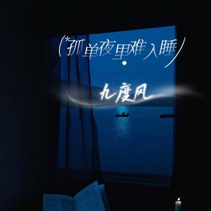 孤单夜里难入睡 (DJ版)