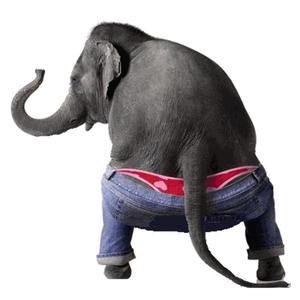 De olifanten keutel dans!