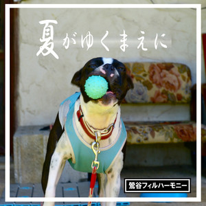 夏がゆくまえに