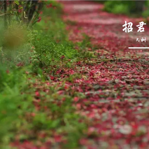 王招君（给闪过的画面）