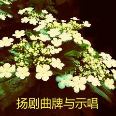 扬剧常用曲牌【银纽丝】十把穿金扇又漂向浊浪滔天江心洲 孙爱民