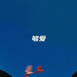 够爱（降速DJ）