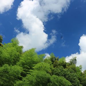 回到那一个晴天（烟嗓）