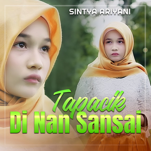TAPACIK DI NAN SANSAI