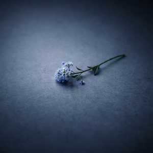 อยู่ดีๆ