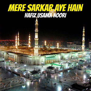 Mere Sarkar Aye Hain
