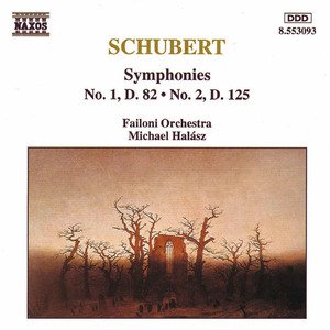 Symphony No. 2 in B-Flat Major, D. 125: I. Largo - Allegro Vivace