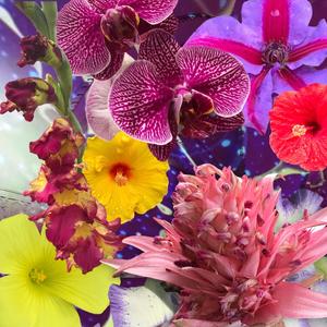 can i just chill for a minute