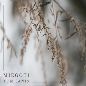 Miegoti