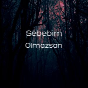 Sebebim Olmazsan