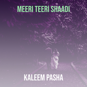 Meeri Teeri Shaadi
